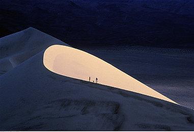 V社终于承认《Deadlock》存在：仍处于早期开发阶段